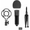 Микрофон Ritmix RDM-160 Black - фото 4