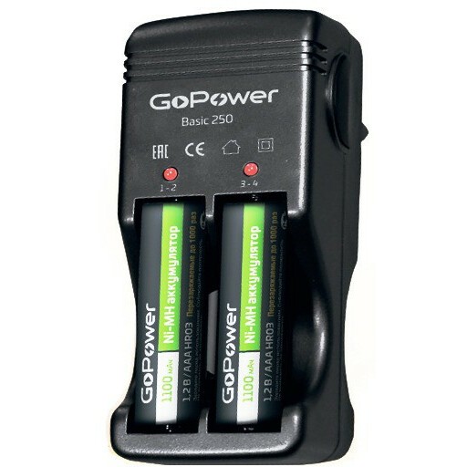 Зарядное устройство для аккумуляторов GoPower Basic 250 - 00-00015345