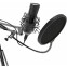 Микрофон Ritmix RDM-180 Black - фото 3