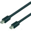 Кабель Mini DisplayPort (M) - Mini DisplayPort (M), 30м, Wize WMP10-MA-K30