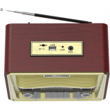 Радиоприёмник Ritmix RPR-088 Gold
