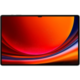 Планшет Samsung Galaxy Tab S9 Ultra 12/256Gb LTE Graphite (SM-X916BZAACAU)