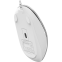 Мышь A4Tech Fstyler FM26S Icy White - FM26S USB (ICY WHITE) - фото 9