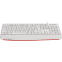 Клавиатура Defender Atom HB-546 White (45547) - фото 3