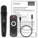 Портативная акустика Ginzzu GM-238