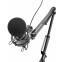 Микрофон Ritmix RDM-180 Black - фото 4