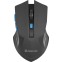 Мышь Defender Accura MM-275 Black/Blue (52275)
