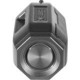 Портативная акустика Defender G36 Black (65036)