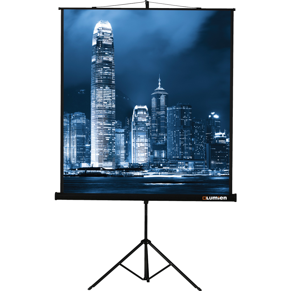 Экран Lumien Master View 160x120 Matte White FiberGlass - LMV-100112