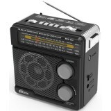 Радиоприёмник Ritmix RPR-202 Black