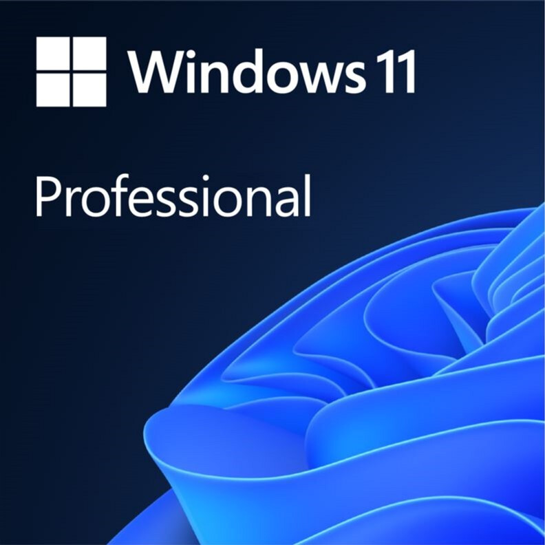 ПО Microsoft Windows 11 Pro 64-bit Russian 1pk DSP OEI DVD (FQC-10547 ...