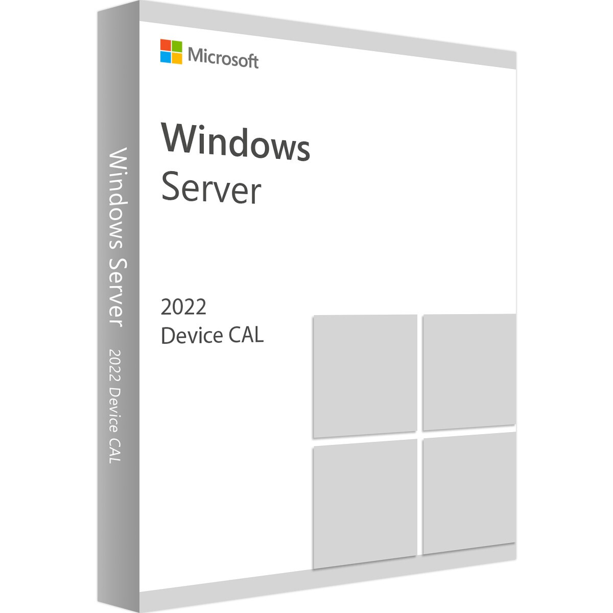 ПО Microsoft Windows Server CAL 2022 Russian 1pk DSP OEI 5 Clt Device