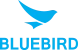 Bluebird