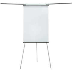 Флипчарты Cactus