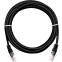 Патч-корд NETLAN EC-PC4UD55B-BC-PVC-030-BK-10, 3м, 10 шт.