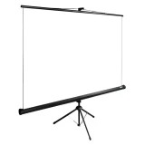 Экран Cactus TriExpert 200x200см (CS-PSTE-200X200-BK)