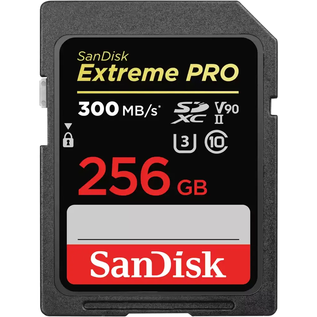 Карта памяти 256Gb SD SanDisk Extreme Pro (SDSDXDK-256G-GN4IN)