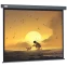 Экран Cactus Wallscreen 124.5x221см (CS-PSW-124X221-SG)