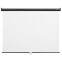 Экран Digis Optimal-C 120x120см MW (DSOC-1106)