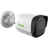 IP камера Tiandy TC-C32WN (I5/E/Y/2.8mm/V4.1) (TC-C32WN I5/E/Y/2.8mm/V4.1)