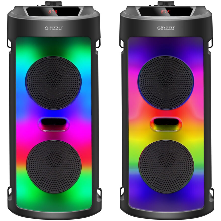 Портативная акустика Ginzzu GM-231 - фото 3