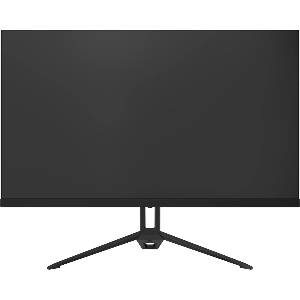 Монитор SunWind 24" SUN-M24BA107