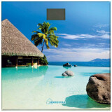 Напольные весы HOMESTAR HS-6001H (004546)