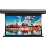 Экран Lumien Cinema Tensioned Control 155x235 Grey (LCTC-100101)