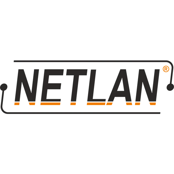 Шкаф NETLAN EC-FZ-246080-GMM-GY