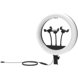 Кольцевая лампа Ritmix RRL-360