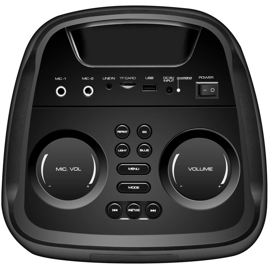 Портативная акустика Ginzzu GM-215 - фото 2