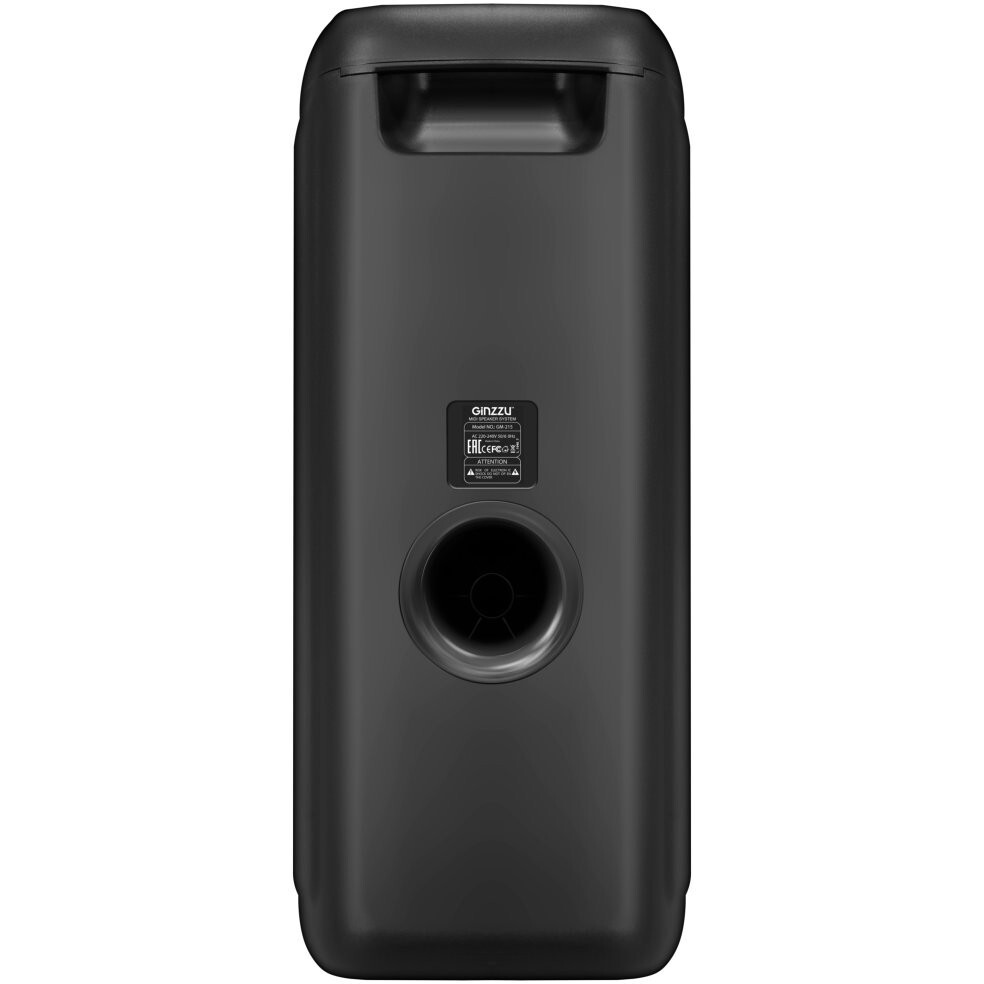 Портативная акустика Ginzzu GM-215 - фото 3