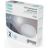 Светильник Gauss 193411212-S