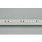 Светодиодная лента Arlight RT-A120-5mm 24V Warm 3000К - 024105(2) - фото 2