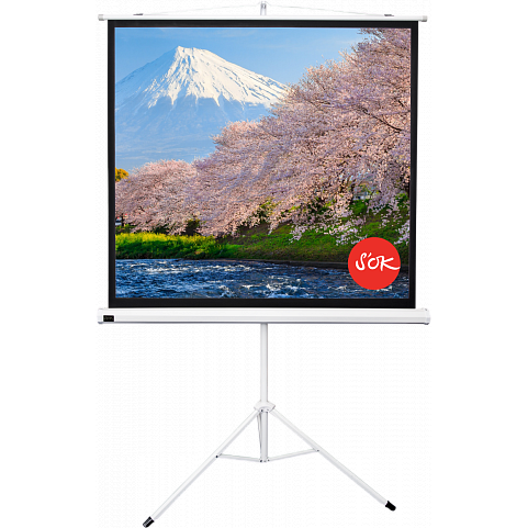 Экран Sakura Cinema S'OK SCPST-180x180GR