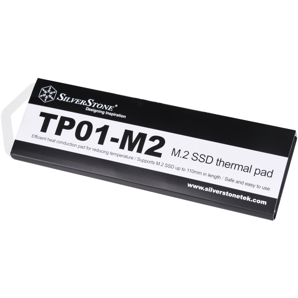 Термопрокладка Silverstone TP01-M2 100x20мм, 2 шт. - G560TP01M200010 - фото 2