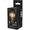 Филаментная лампочка Gauss Filament A60 2700K (8 Вт, E27) 10 шт. - 102802108 - фото 2
