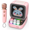 Портативная акустика Divoom Ditoo Mic Pink - 90100058201