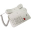 Проводной телефон Ritmix RT-311 White - фото 2