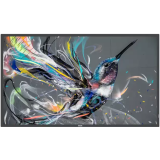 ЖК панель Philips 55" 55BDL3511Q (55BDL3511Q/00)