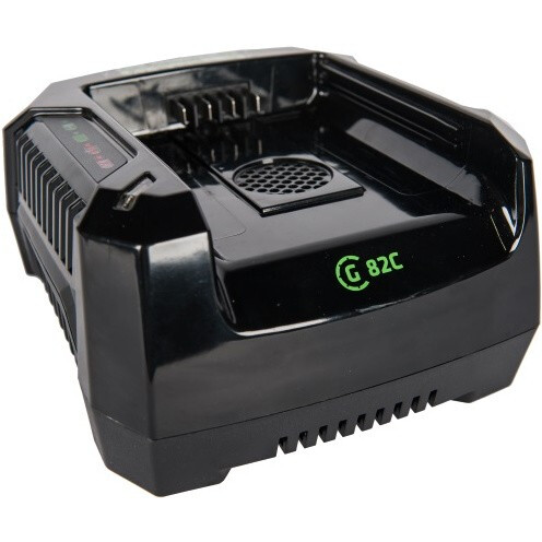 Зарядное устройство Greenworks G82C