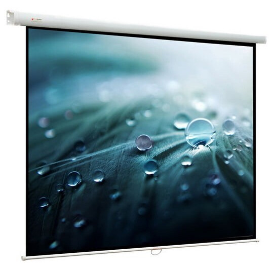 Экран ViewScreen Lotus 244x244см (WLO-1106)