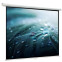 Экран ViewScreen Lotus 244x244см (WLO-1106)