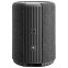 Портативная акустика Audio Pro A10 Dark Grey - фото 2
