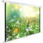 Экран Cactus WallExpert 200x200см (CS-PSWE-200X200-WT)