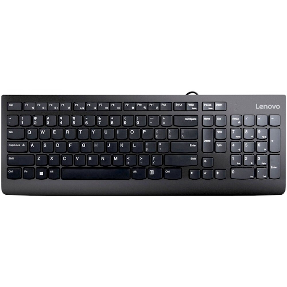 Клавиатура Lenovo 300 (GX30M39684)