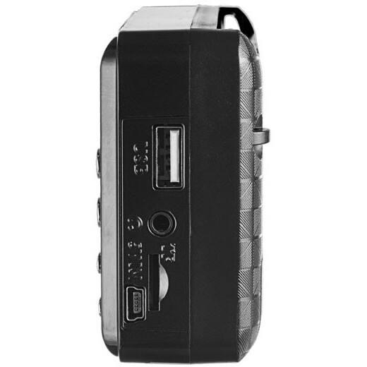 Радиоприёмник Perfeo PALM Black - PF_A4870 - фото 3