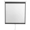 Экран Digis Optimal-D 248x250см MW (DSOD-1107)