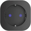 Умная розетка Perenio Power Link Black - PEHPL02