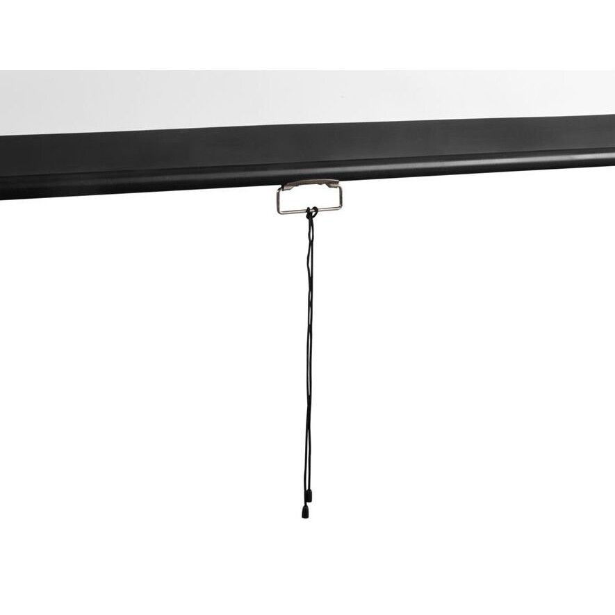 Экран Digis Optimal-D 248x250см MW (DSOD-1107) - фото 2